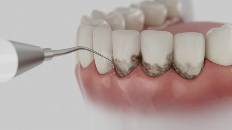 Reliable Dental contractor in Pine Knot, KY by Dentist Open Now